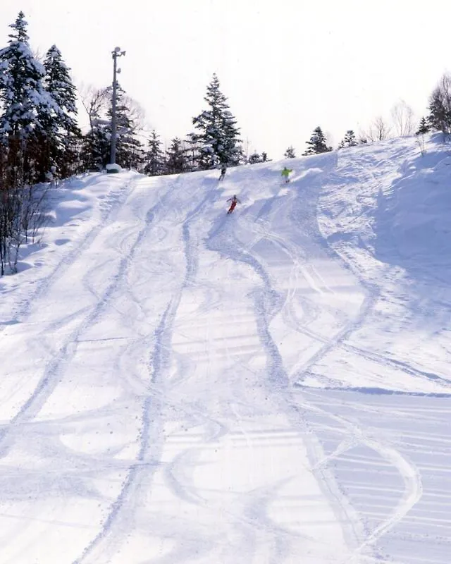 Hotel Park Hills Kamifurano