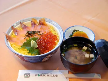 Hotel Park Hills Kamifurano 3*,  Japan